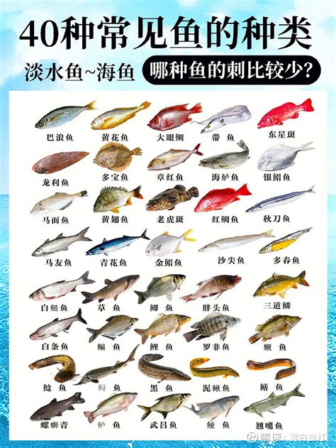 魚有哪些|我們常吃的33種海魚名稱和圖片大全，你認識多少種、。